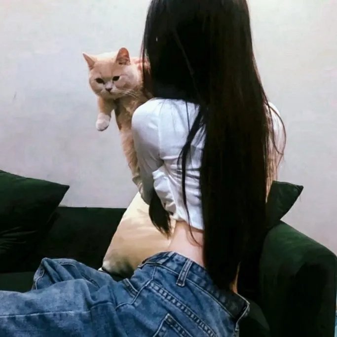 #窨井盖