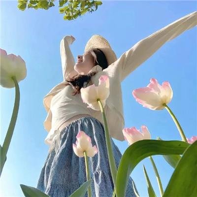 哈莱姆的郁金香