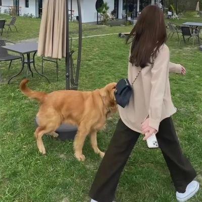 风流才子纪晓岚