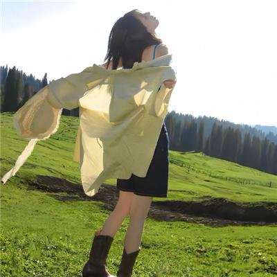 与鲨共游